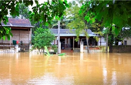 Mưa trên diện rộng, nhiều địa phương ở Hà Tĩnh bị ngập lụt cục bộ